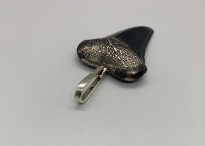 Oxidized silver medium Megalodon tooth pendent