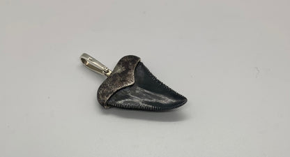 Oxidized silver medium Megalodon tooth pendent