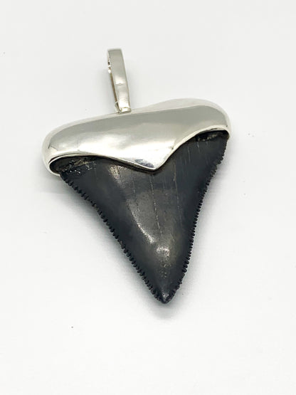Sterling Cromo Silver Megalodon tooth pendent
