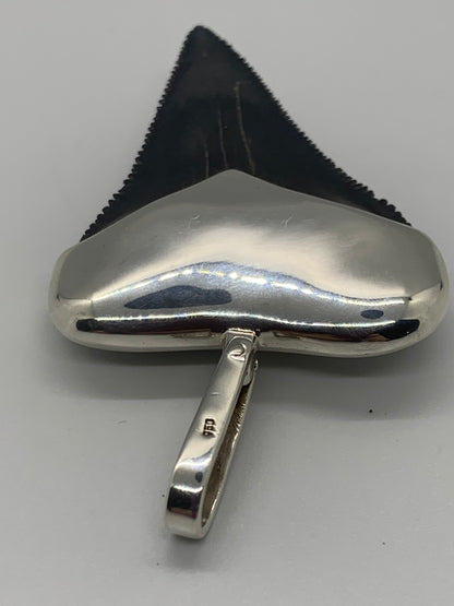 Sterling Cromo Silver Megalodon tooth pendent