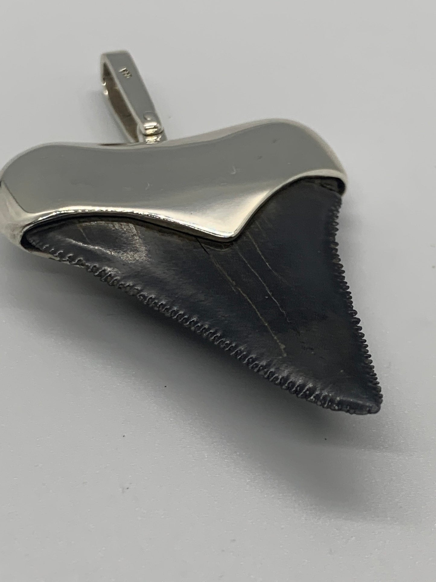 Sterling Cromo Silver Megalodon tooth pendent