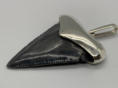 Megalodon tooth steeling silver pendent