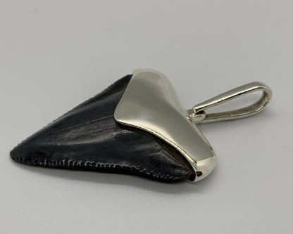Megalodon tooth sterling silver pendant