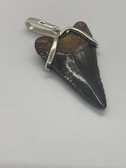 Megalodon tooth sterling silver Small