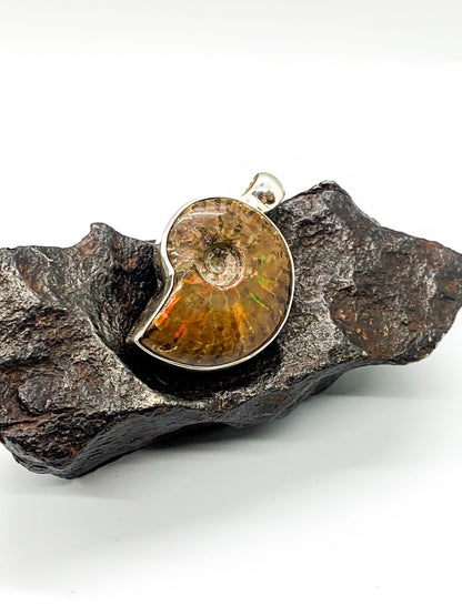 Ammonite pendant in sterling chrome silver