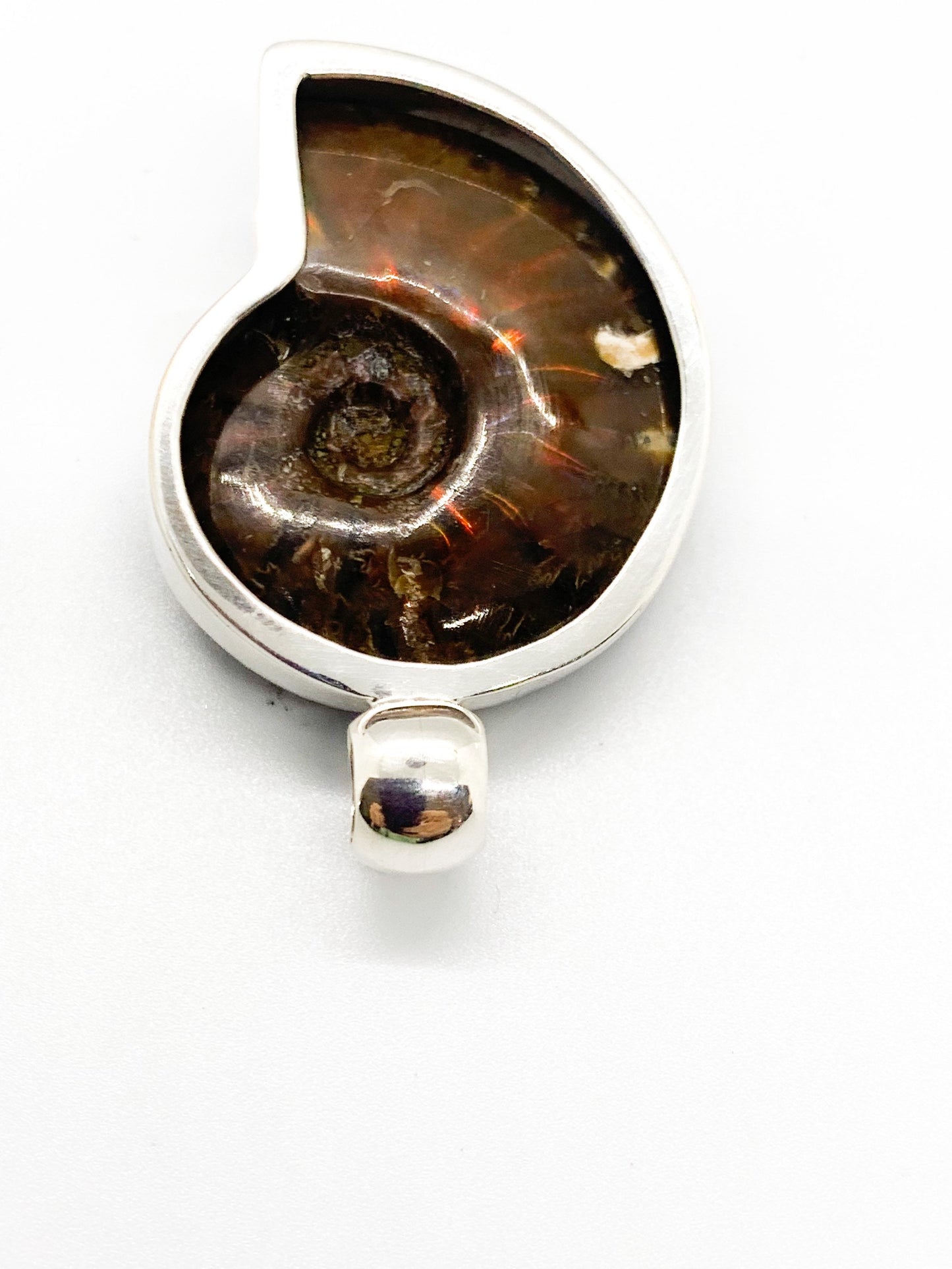 Ammonite pendant in sterling chrome silver