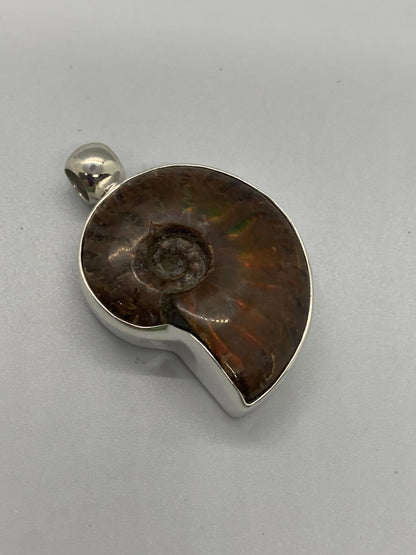 Ammonite pendant in sterling chrome silver