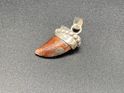 Carcharodontosaurus Tooth Pendant | Sterling Silver | 100% Authentic