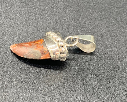 Carcharodontosaurus Tooth Pendant | Sterling Silver | 100% Authentic