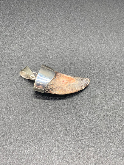 Carcharodontosaurus Tooth Pendant | 1.5" | Sterling Silver | 100% Authentic