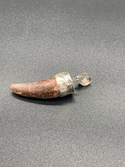 Spinosaurus Tooth Pendant | Sterling Silver | 100% Authentic