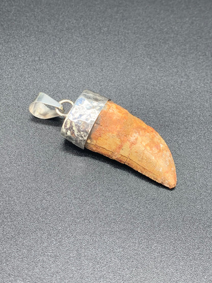 Carcharodontosaurus Tooth Pendant | 2" | Sterling Silver | 100% Authentic