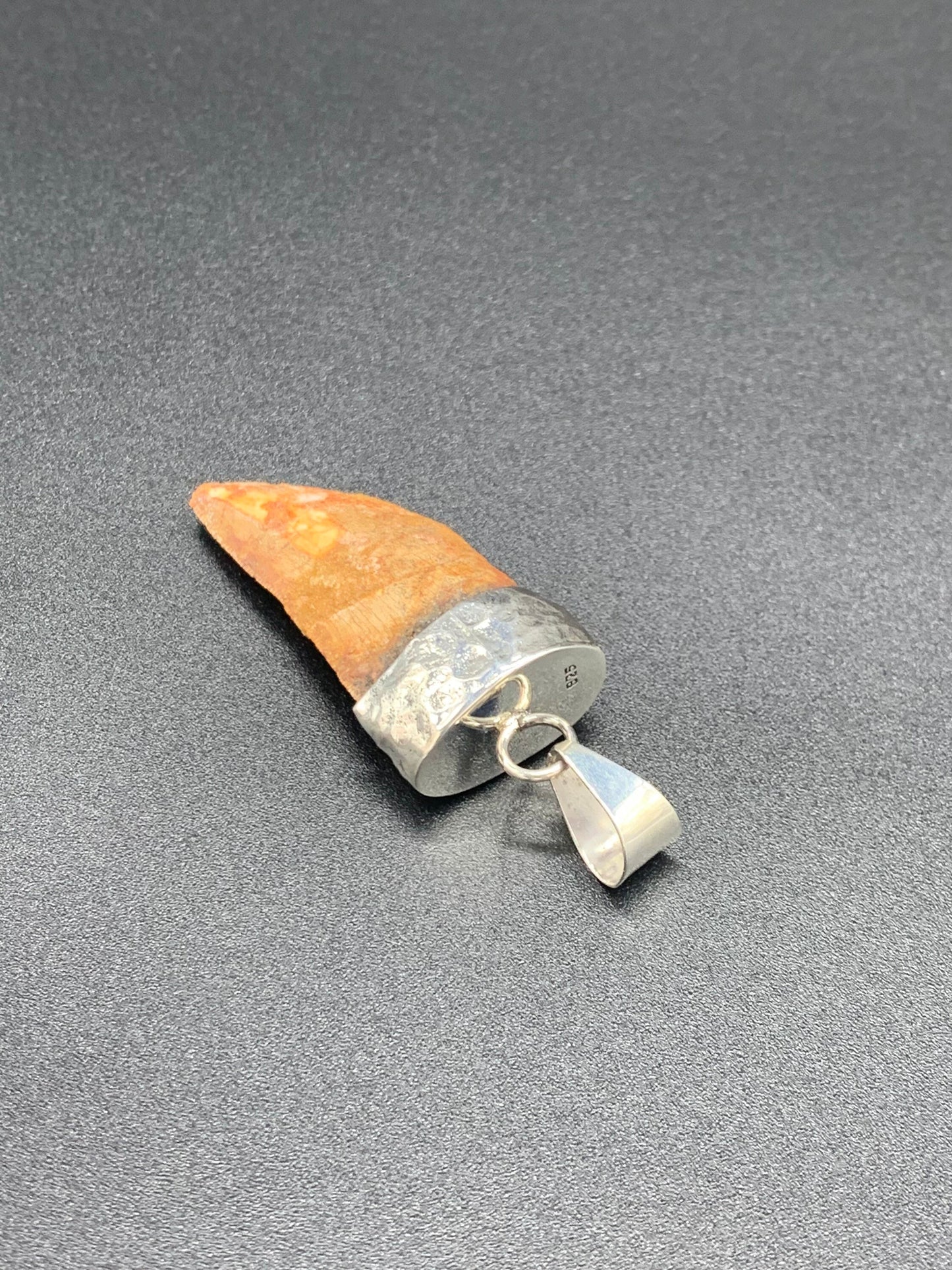 Carcharodontosaurus Tooth Pendant | 2" | Sterling Silver | 100% Authentic