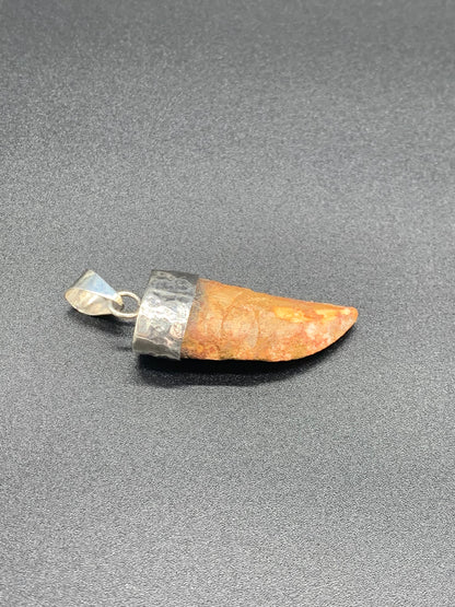 Carcharodontosaurus Tooth Pendant | 2" | Sterling Silver | 100% Authentic
