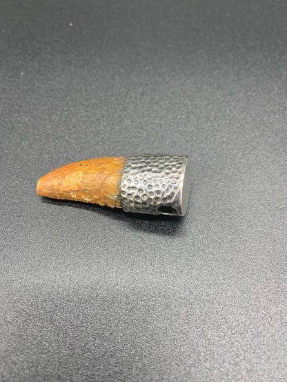Carcharodontosaurus Tooth Pendant | 1.5" | Sterling Silver | 100% Authentic
