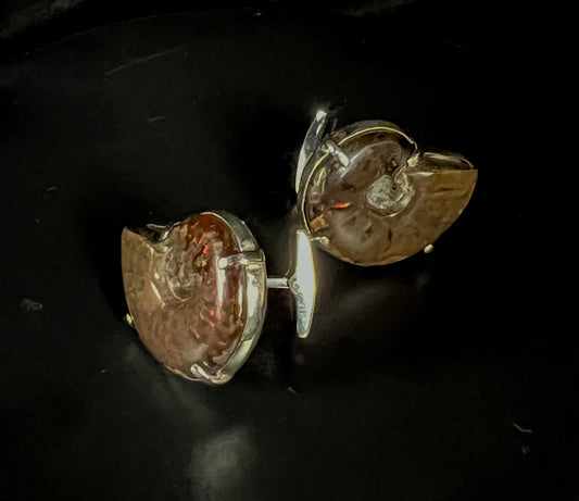 Iridescent fossil Ammonites cuff links pair
