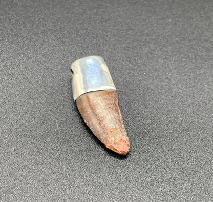 Carcharodontosaurus Tooth Pendant | 1 3/4" | Sterling Silver | 100% Authentic