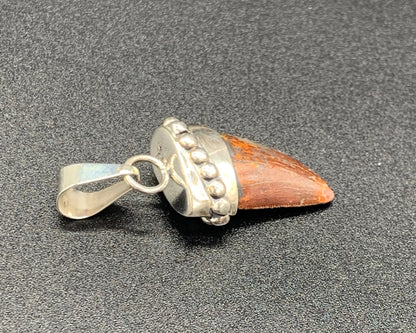Carcharodontosaurus Tooth Pendant | Sterling Silver | 100% Authentic