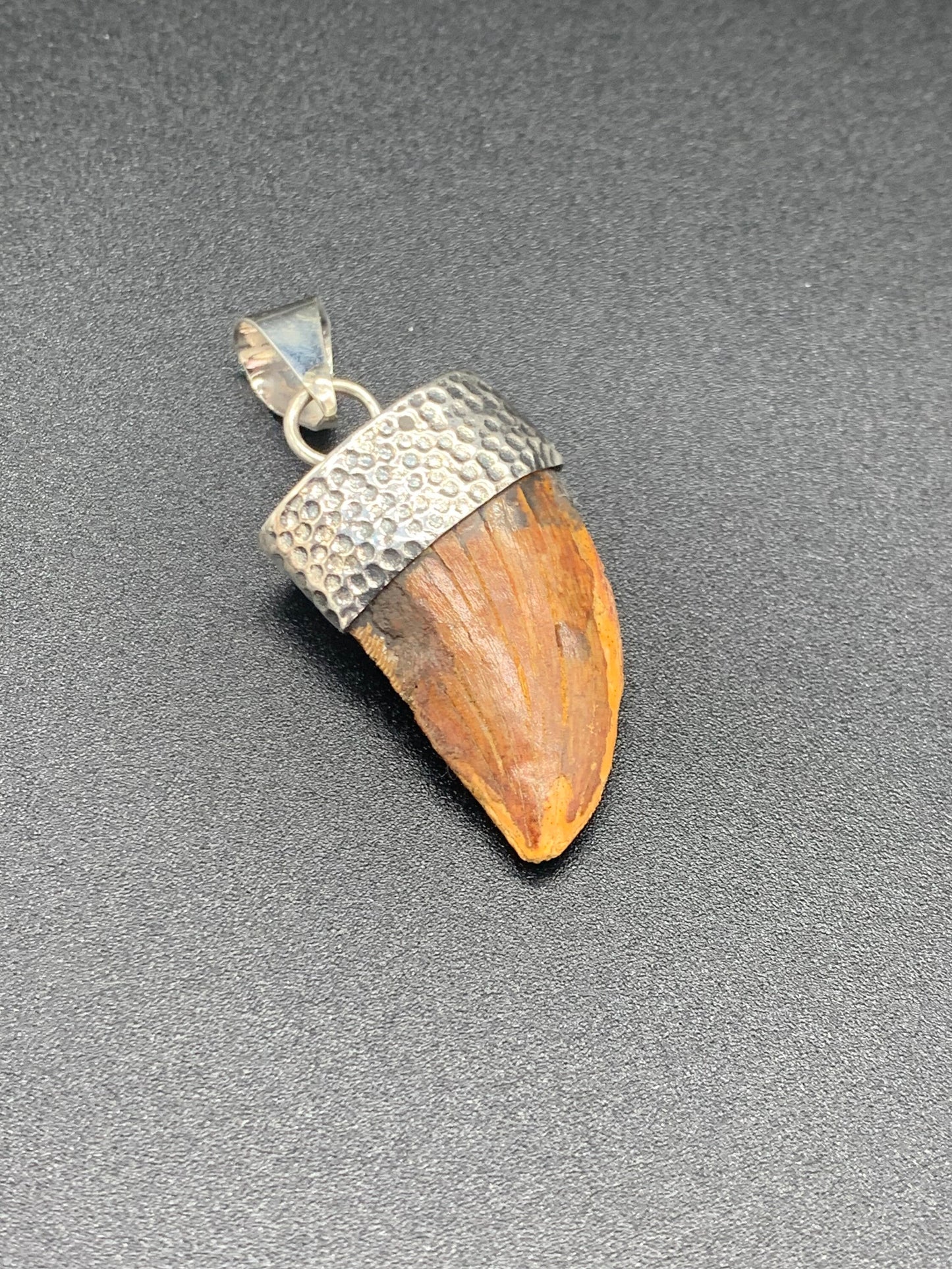 Carcharodontosaurus Tooth Pendant | Sterling Silver | 100% Authentic