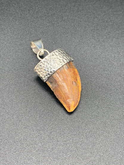 Carcharodontosaurus Tooth Pendant | Sterling Silver | 100% Authentic