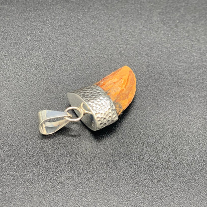 Carcharodontosaurus Tooth Pendant | Sterling Silver | 100% Authentic