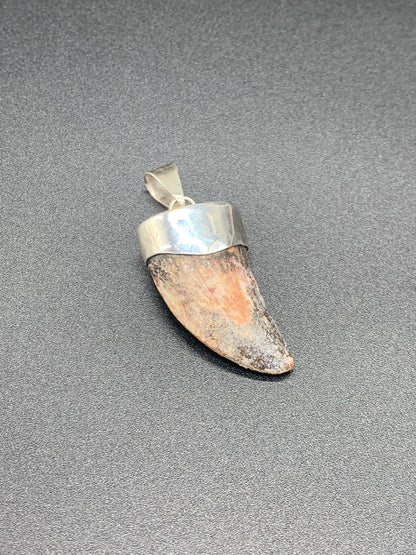 Carcharodontosaurus Tooth Pendant | 1.5" | Sterling Silver | 100% Authentic