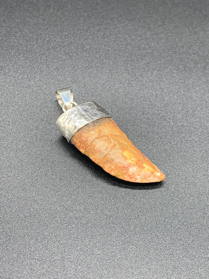 Carcharodontosaurus Tooth Pendant | 2" | Sterling Silver | 100% Authentic