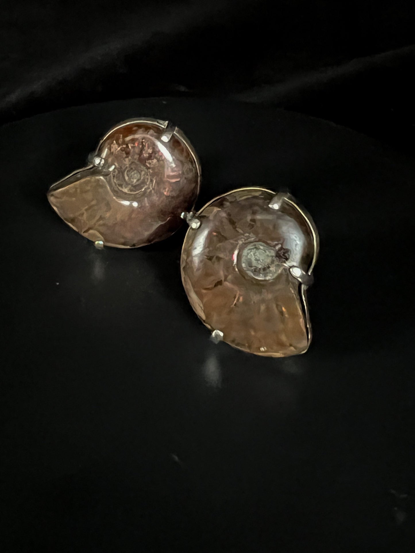 Iridescent fossil Ammonites cuff links pair