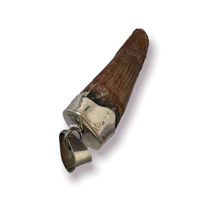Spinosaurus Tooth Pendant | Sterling Silver | 100% Authentic