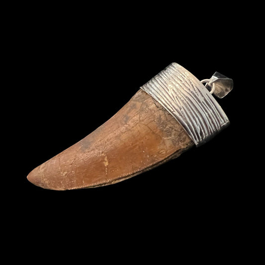 Carcharodontosaurus Tooth Pendant | 2.5" | Sterling Silver | 100% Authentic