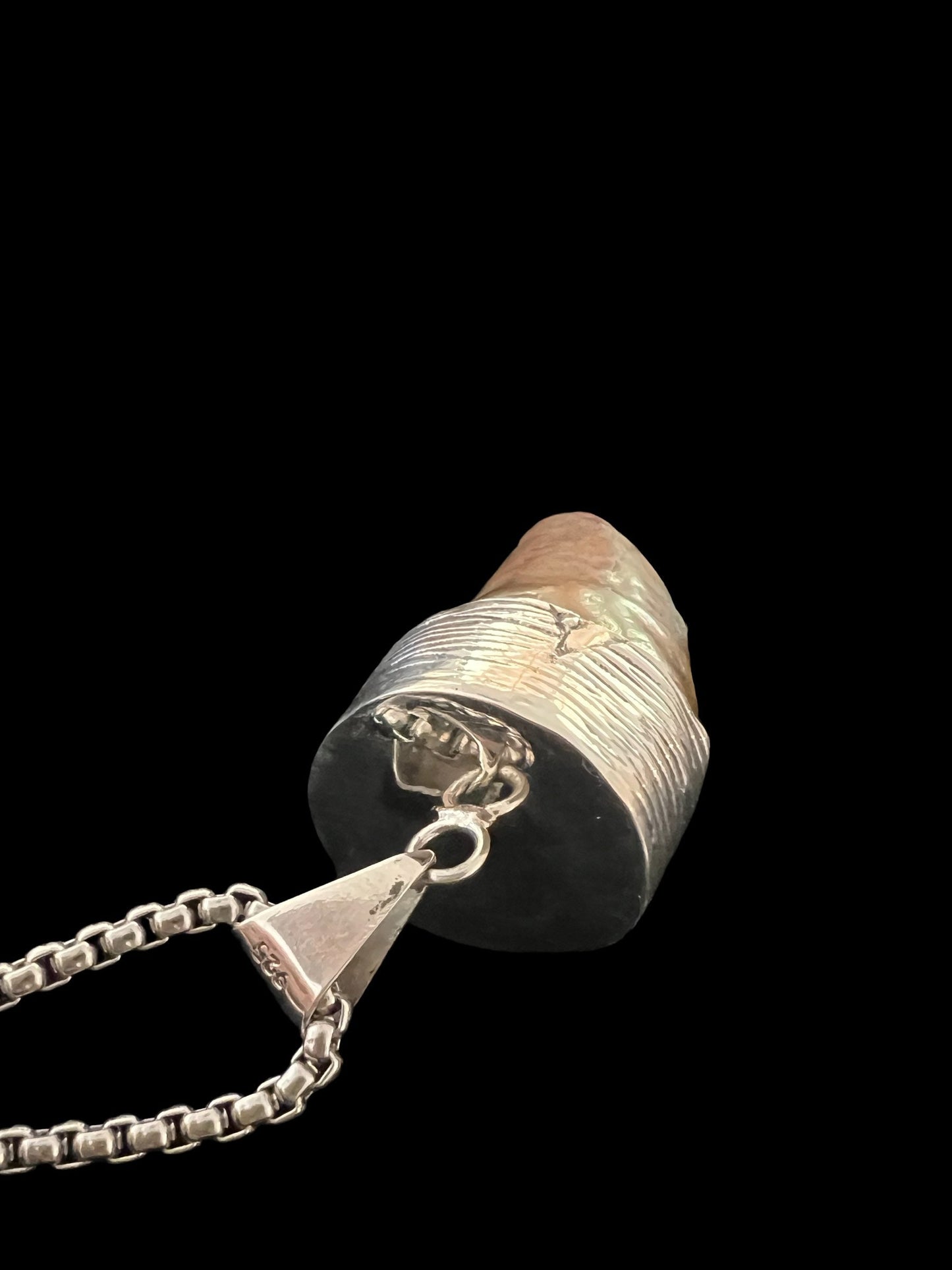 Carcharodontosaurus Tooth Pendant | 2" | Sterling Silver | 100% Authentic