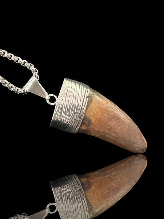 Carcharodontosaurus Tooth Pendant | 2" | Sterling Silver | 100% Authentic