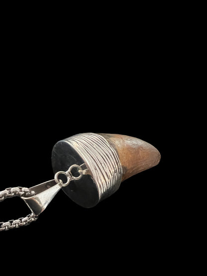 Carcharodontosaurus Tooth Pendant | 2" | Sterling Silver | 100% Authentic