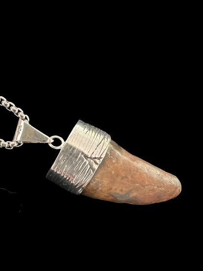 Carcharodontosaurus Tooth Pendant | 2" | Sterling Silver | 100% Authentic