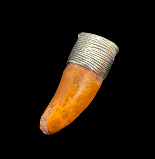 Carcharodontosaurus Tooth Pendant | Sterling Silver | 100% Authentic