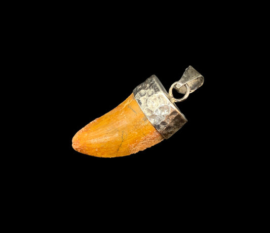 Carcharodontosaurus Tooth Pendant | 1.5" | Sterling Silver | 100% Authentic