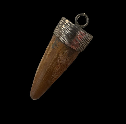 Spinosaurus Tooth Pendant | 2" | Sterling Silver | 100% Authentic
