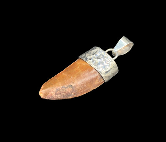 Carcharodontosaurus Tooth Pendant | 1 1/3" | Sterling Silver | 100% Authentic