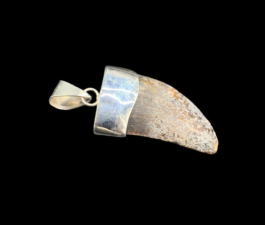 Carcharodontosaurus Tooth Pendant | 1.5" | Sterling Silver | 100% Authentic