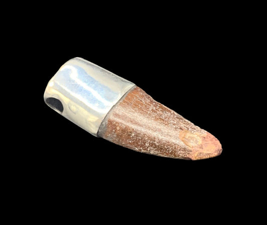 Carcharodontosaurus Tooth Pendant | 1 3/4" | Sterling Silver | 100% Authentic