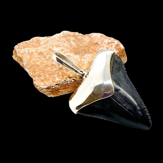 Megalodon shark tooth silver pendant on a rock against a black background