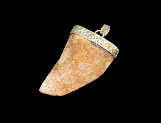 Carcharodontosaurus Tooth Pendant | 2" | Sterling Silver | 100% Authentic
