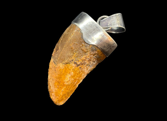 Carcharodontosaurus Tooth Pendant | 1.5" | Sterling Silver | 100% Authentic