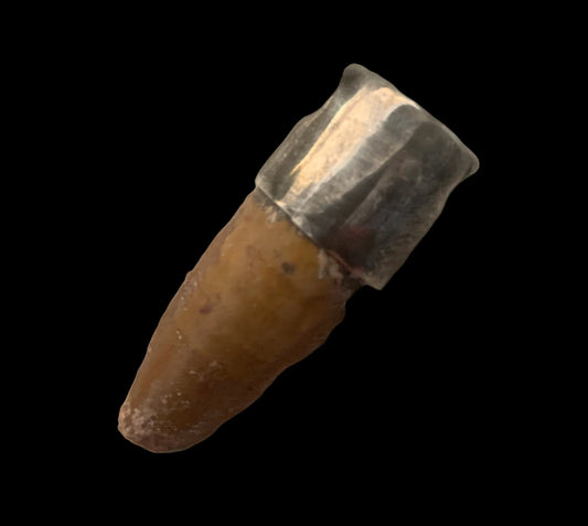 Carcharodontosaurus Tooth Pendant | Sterling Silver | 100% Authentic