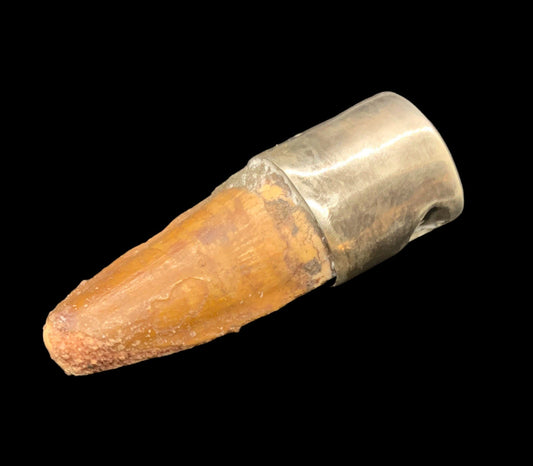 Spinosaurus Tooth Pendant | 2" | Sterling Silver | 100% Authentic