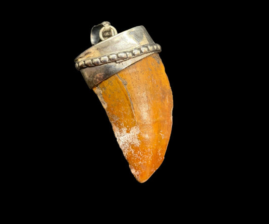 Carcharodontosaurus Tooth Pendant | 1.5" | Sterling Silver | 100% Authentic