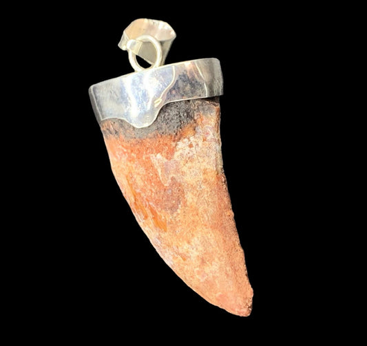 Carcharodontosaurus Tooth Pendant | 2" and Bulky | Sterling Silver | 100% Authentic