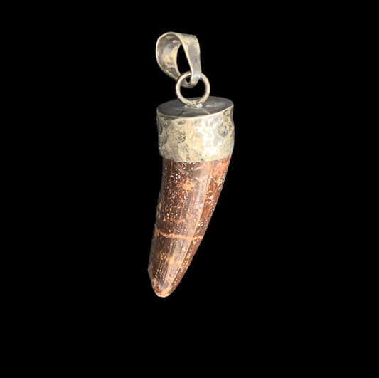 Spinosaurus Tooth Pendant | Sterling Silver | 100% Authentic