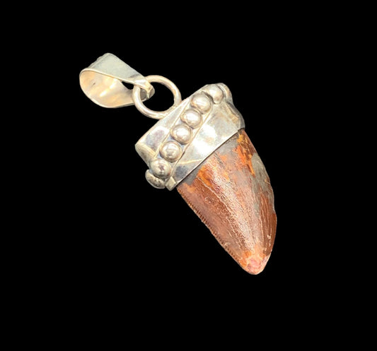 Carcharodontosaurus Tooth Pendant | Sterling Silver | 100% Authentic
