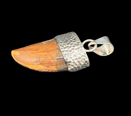 Carcharodontosaurus Tooth Pendant | Sterling Silver | 100% Authentic